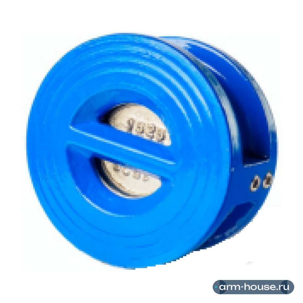 Клапан обратный межфланцевый CNP IMC021 Aikon DN80