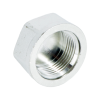 Заглушка с внутренней резьбой ELSEN TIN PLATED Metalit, 3/4", TIN латунь
