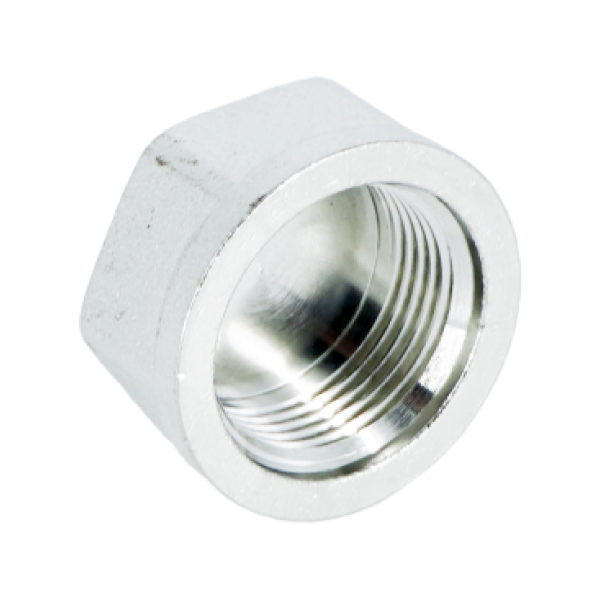 Заглушка с внутренней резьбой ELSEN TIN PLATED Metalit, 3/4", TIN латунь