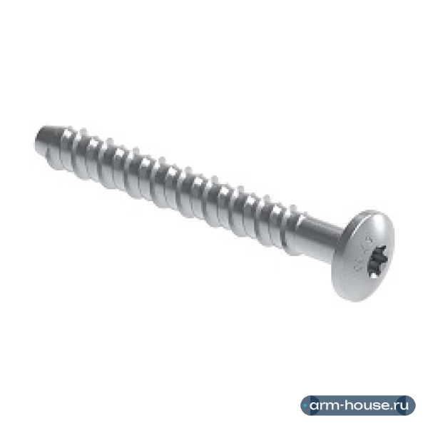 Шуруп монтажный Walraven RapidRail Torx TX30, 6x40 мм