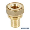 Переходник НГ РЕХАУ RAUTITAN MX, 20-G 3/4", DZR латунь, (MX)