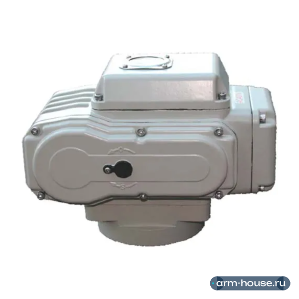 Привод электрический TECOFI TEA-05-N24, 1Ф - 230В для VPI Ру16, VP Ру25