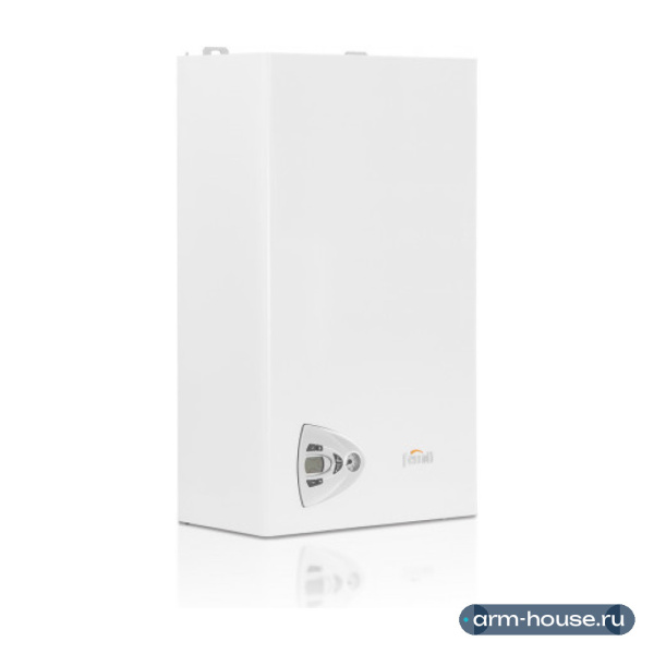 Газовый настенный котел Ferroli Vitabel F24