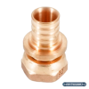 Переходник НГ РЕХАУ RAUTITAN, 20-G 1/2", бронза (RX+)