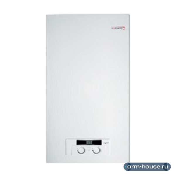 Котёл газовый настенный Protherm Рысь HK 11, мощность 11 кВт, двухконтурный, закрытая камера